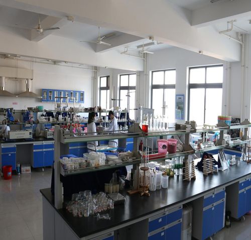 广东环境保护工程职业学院重金属污染防治与土壤修复重点实验室